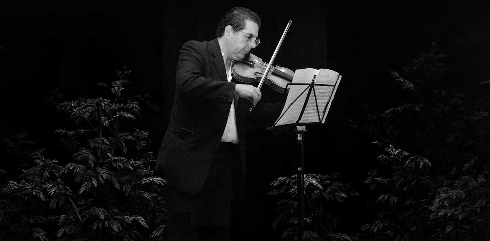 Luis Barrón tocando el violín en vivo para un evento